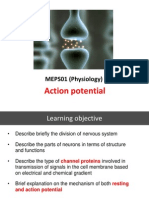 Action Potential