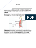 Human Anatomy and Physiology