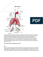 Functional Anatomy of The Respiratory System Nose