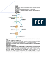 Operon Lac1