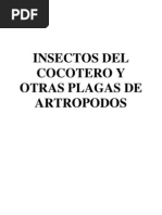 Insectos Del Cocotero