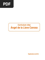 Ángel de La Llave Canosa CV