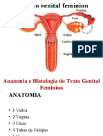 1 AULA - Anatomia e Histologia