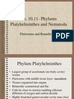 Platyhelminthes 3