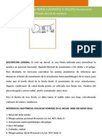 Formato de Manual de Ortesis 2013