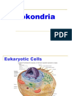 Mitokondria - Glikolisis - Lisosom