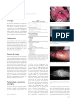 Osteomielite Aguda Subaguda Cronica