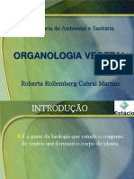 Aula 3 - Organologia - Introdução e Raízes - Botânica Geral