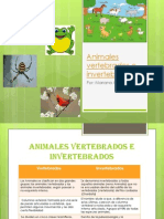 Animales Vertebrados e Invertebrados