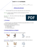 Ficha Informativa Classificação Animais 5º Ano