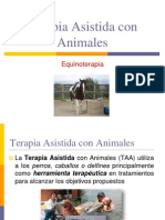 Terapia Asistida Con Animales