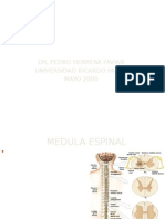 Vias Medula 09 M