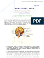 Psicologia - Cerebro Y Mente