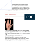 Para Leer La Mano Se Han de Interpretar Una Cantidad de Caracteristicas