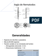 Morfología de Nematodos 2013