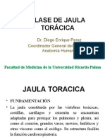 1ra Clase Torax - Jaula Toracica - Dr. Enriquez