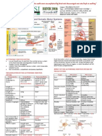 Autonomic Nervous System