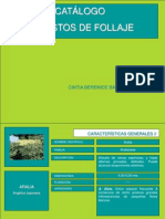 Catalogo de Arbustos de Follaje