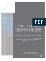 Andragogia - Perfil de Un Academico Desde La Perspectiva Andragogica