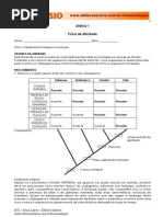 Cladograma PDF