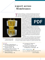 Transport Across Cell Membrane