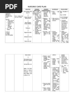 Nursing Care Plan