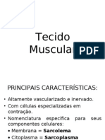 Tecido Muscular