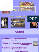 Sistema Endócrino e Exercício