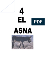 Leccion 4 Asna