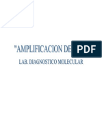 Amplificaciob 2