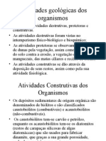 7 Atividades Geológicas Dos Organismos