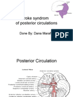 16 Stroke Syndromes