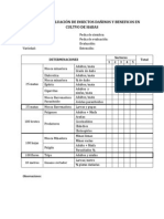 Cartilla de Evaluación de Insectos Dañinos y Beneficos en Cultvo de Habas