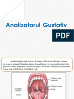 Analizatorul Gustativ