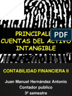 Principales Cuentas Del Activo Intangible