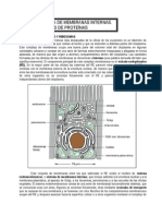 Modulo 8