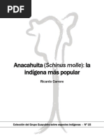 Anacahuita (Schinus Molle)