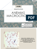 Hemato Anemia Macrocítica