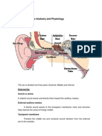 Overview of The Anatomy and Physiology: Audition