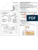 USMLE Step 1 - Reproduction