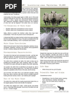 White Rhino Species