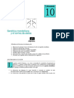 Genetica PDF