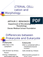 The Bacterial Cell: Classification and Morphology: Arthur C. Benignos Ii M.D