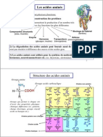 Acides Amines