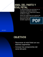 Canal Del Parto y Móvil Fetal