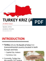 Turkey Kriz (A)