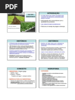 Cultivo Hidropônico PDF