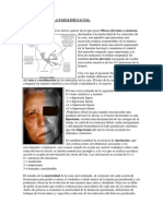 Fisioterapia de La Paralisis Facial