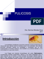 PULICOSIS