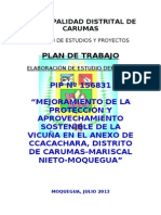 Plan de Trabajo P Vicuña